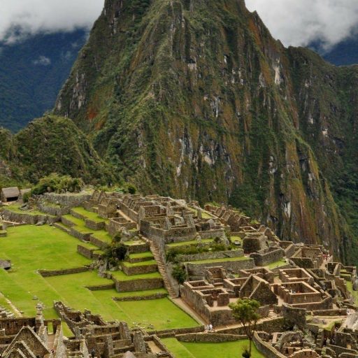 3495cd76ae31e5986ccbadf486c0a0e9