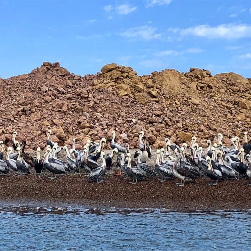 WhatsApp Image 2018-11-16 at 18.02.59 (2)