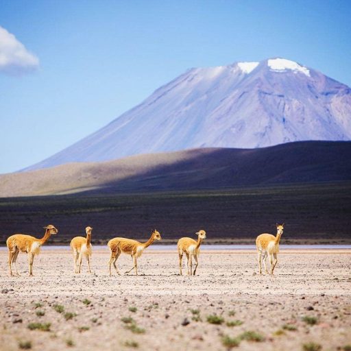 WhatsApp Image 2018-11-20 at 22.12.33