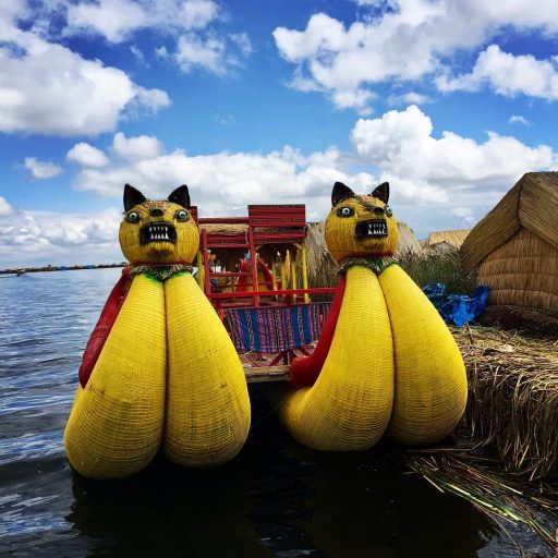 WhatsApp Image 2019-03-20 at 20.41.44