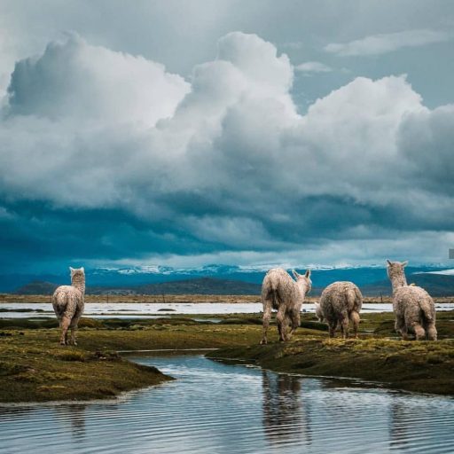 WhatsApp Image 2019-03-20 at 20.41.45