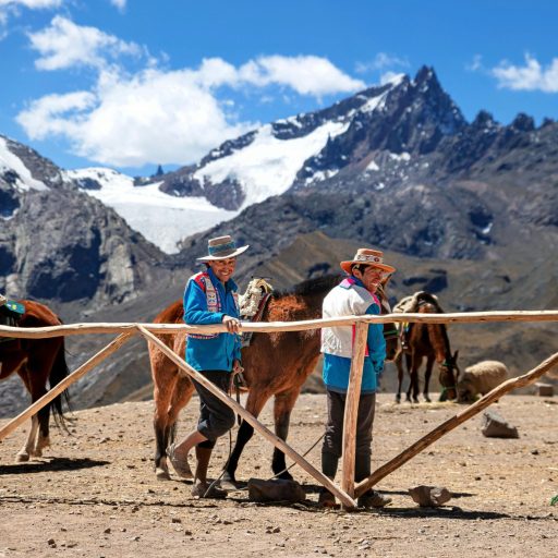 pexels-saul-siguenza-355267816-19065648